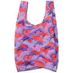Colour – Dolphins