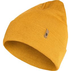 Acorn