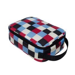 Painted Check 
