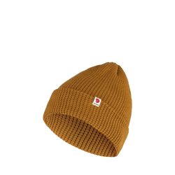 Acorn