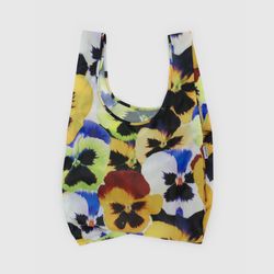 Pansy