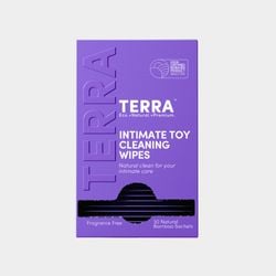 Intimate Toy Cleaning Wipes