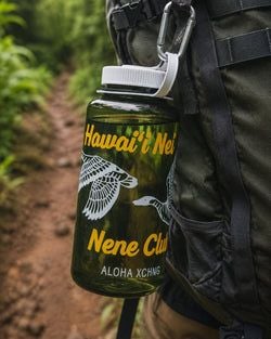 Color – Hawaii Nei