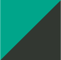 The Seabed Beach & Bath Towel / Parisian Green