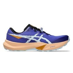 Colour – Cobalt Burst / Cool Grey