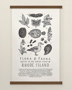 Your State – Rhode Island