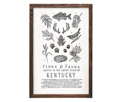 Your State – Kentucky