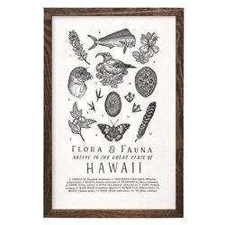 Your State – Hawaii