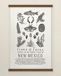Your State – New Mexico