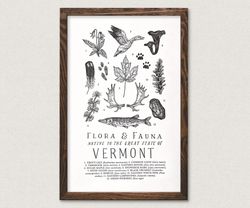 Your State – Vermont