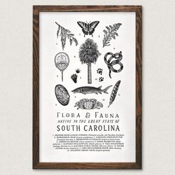 Your State – South Carolina