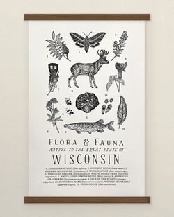 Your State – Wisconsin
