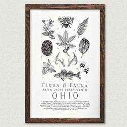 Your State – Ohio