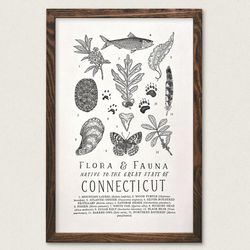 Your State – Connecticut