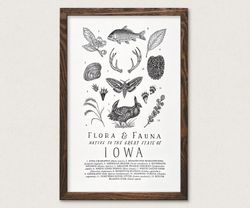Your State – Iowa