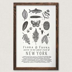 Your State – New York