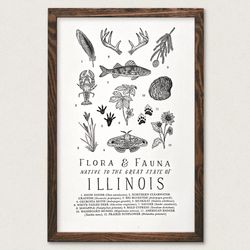 Your State – Illinois