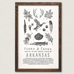 Your State – Arkansas