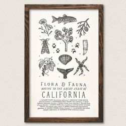 Your State – California