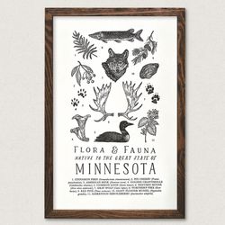 Your State – Minnesota