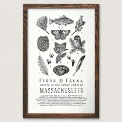 Your State – Massachusetts