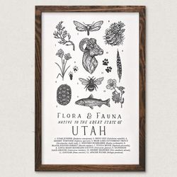 Your State – Utah