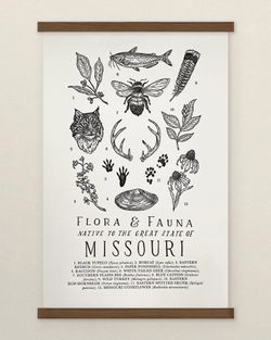 Your State – Missouri