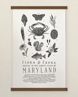 Your State – Maryland