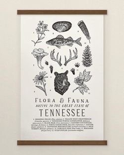 Your State – Tennessee