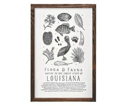Your State – Louisiana