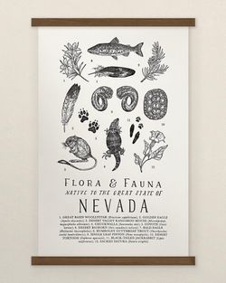 Your State – Nevada
