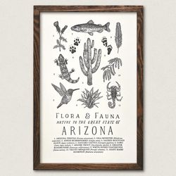 Your State – Arizona