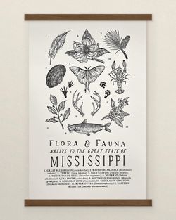 Your State – Mississippi