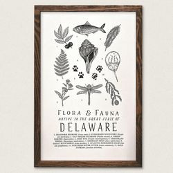 Your State – Delaware