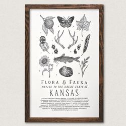 Your State – Kansas