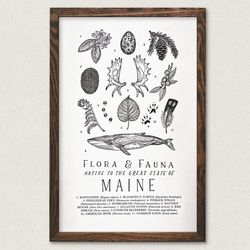 Your State – Maine