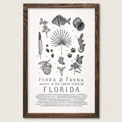 Your State – Florida
