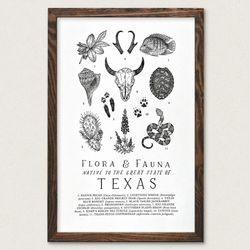 Your State – Texas