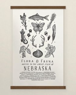 Your State – Nebraska