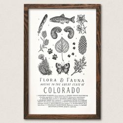 Your State – Colorado