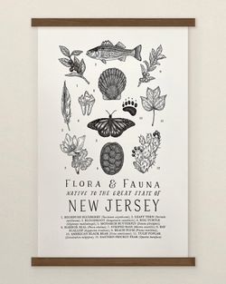 Your State – New Jersey