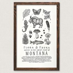 Your State – Montana