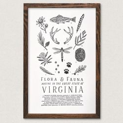 Your State – Virginia