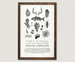 Your State – North Carolina