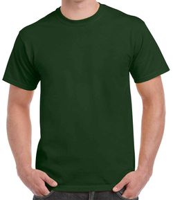 Colour – Forest Green