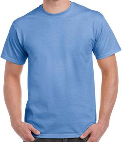 Colour – Carolina Blue