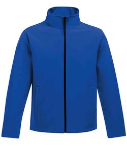 Colour – New Royal Blue/Black