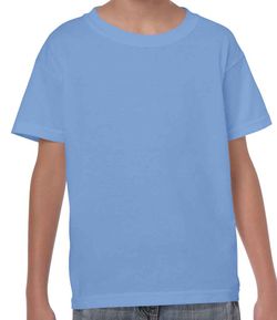 Colour – Carolina Blue