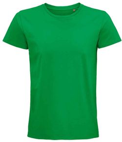 Colour – Kelly Green