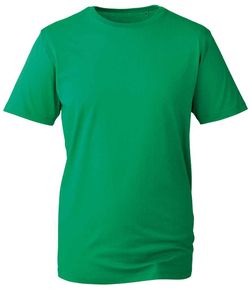 Colour – Kelly Green
